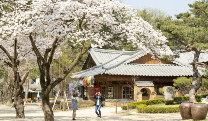 和談植物園+南怡島+江村鐵路自行車1日遊（首爾出發）（3月29日~9月30日）